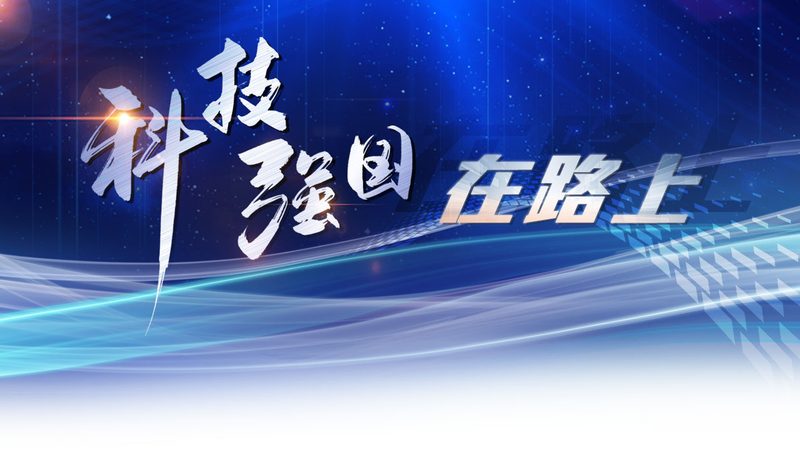 揭秘互联网技术解决方案供应商：品牌对比背后的逻辑